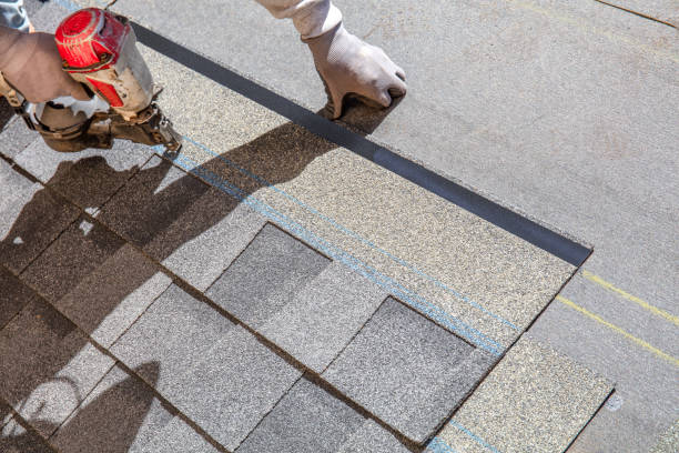 Quick and Trustworthy Emergency Roof Repair Services in Riverview, DE